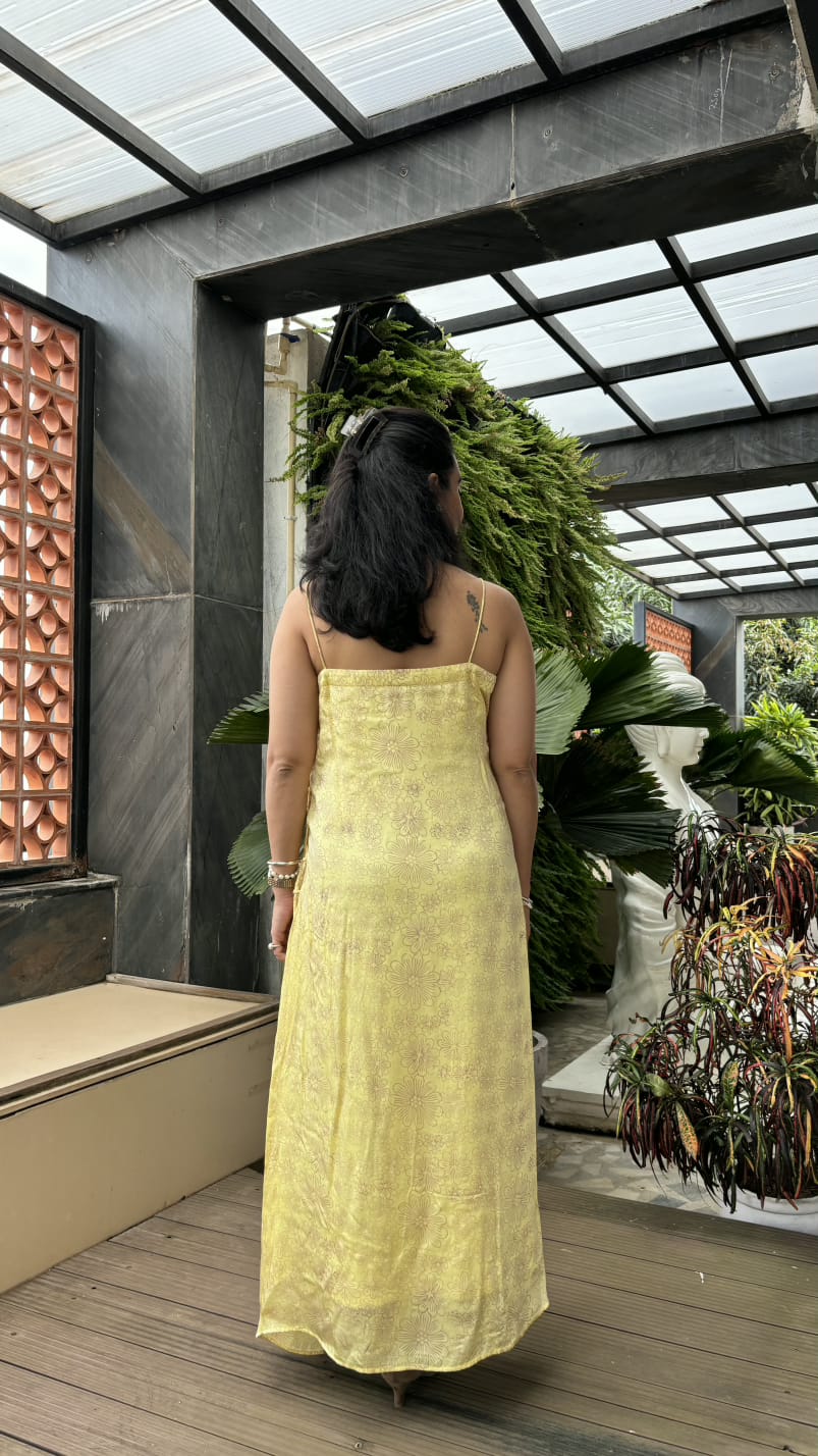 Daisy Daze Dress